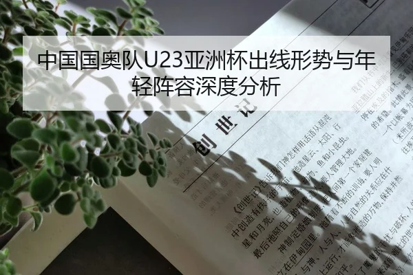 中国国奥队U23亚洲杯出线形势与年轻阵容深度分析