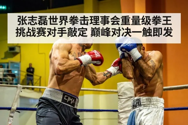 张志磊世界拳击理事会重量级拳王挑战赛对手敲定 巅峰对决一触即发